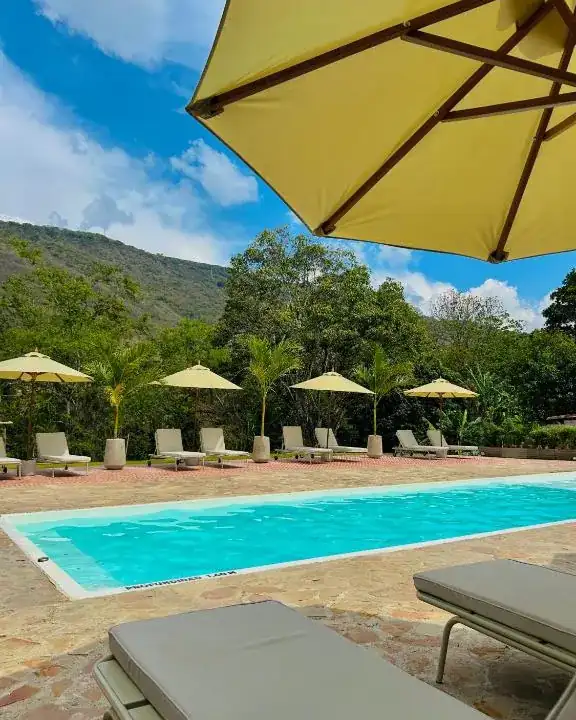 Piscina climatizada con tumbonas y la montaña cubierta de árboles detrás